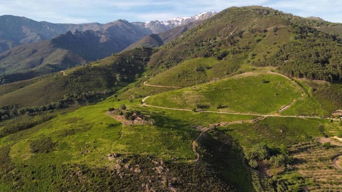 Sendero que sube por una ladera verde de montaña